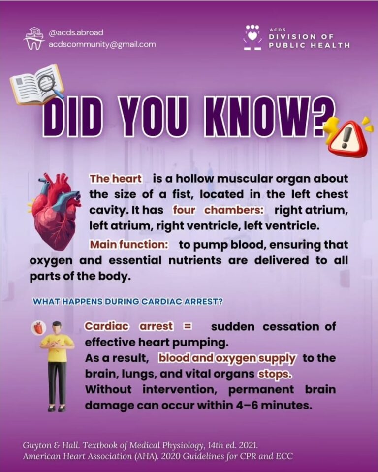 whatsapp image 2025 12 29 at 10.59.29 pm (2)